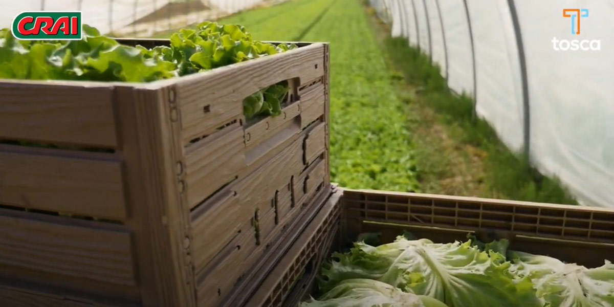 Con Tosca Crai migliora l'esperienza di acquisto a negozio 
